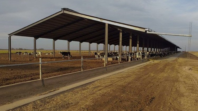 fabricacion y venta de galpon compost argentina